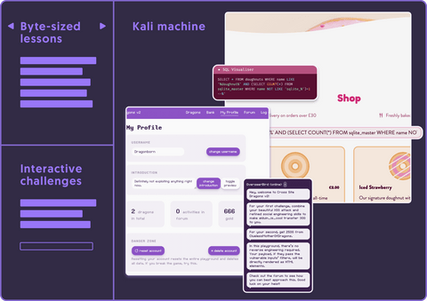 Dev Aviary interface wireframe