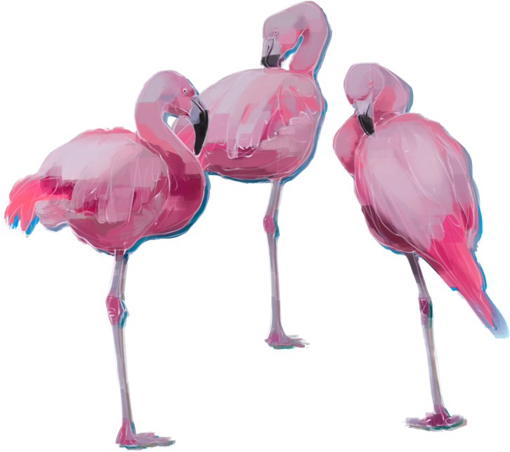 3 flamingos